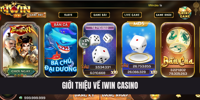 Giới thiệu về IWIN casino